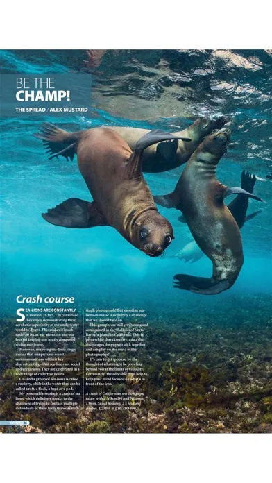 Capturas de pantalla de DIVER MAGAZINE