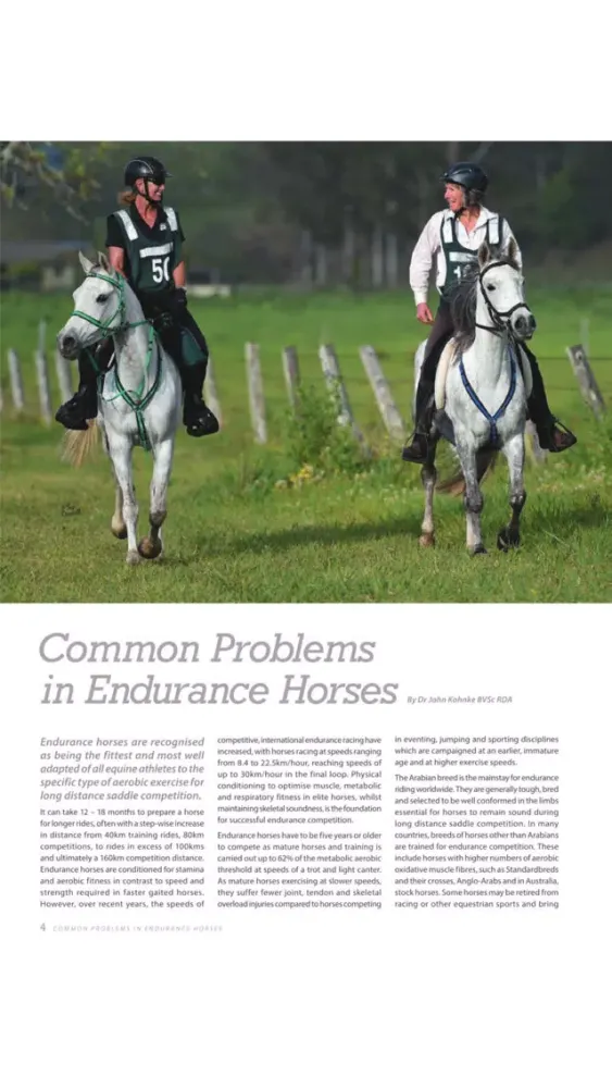 Capturas de pantalla de Endurance Magazine