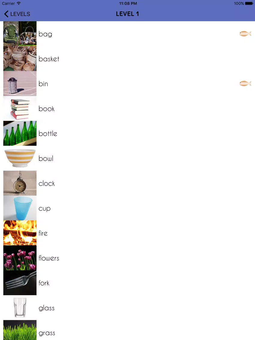 ภาพหน้าจอของ MemoLingo - Learn Languages iPad 