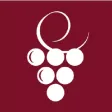Kosher Wine