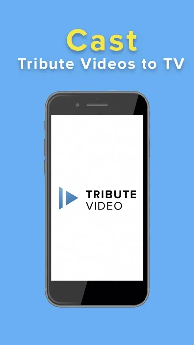 Скриншоты Tribute Video Direct