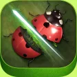 Amazing Bug Slicer Ninja: Bonsai War Heroes Amazing Bug Slicer Ninja: Bonsai War Heroes