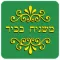 משגיח בכיר