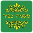 משגיח בכיר משגיח בכיר