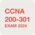 CCNA 200-301. Updated 2024