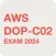 AWS DOP-C02 Updated 2024