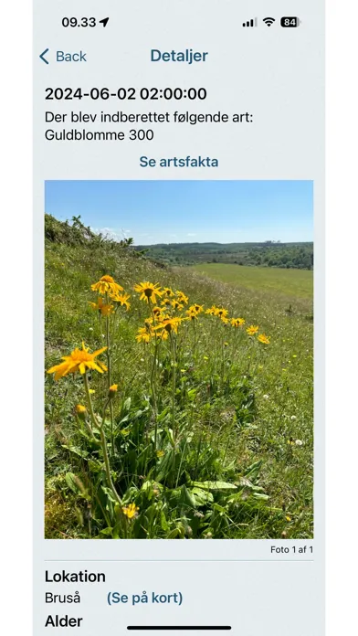 صور Naturbasen