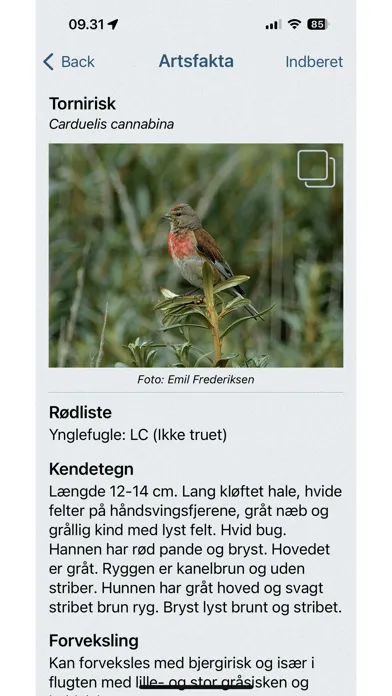 صور Naturbasen