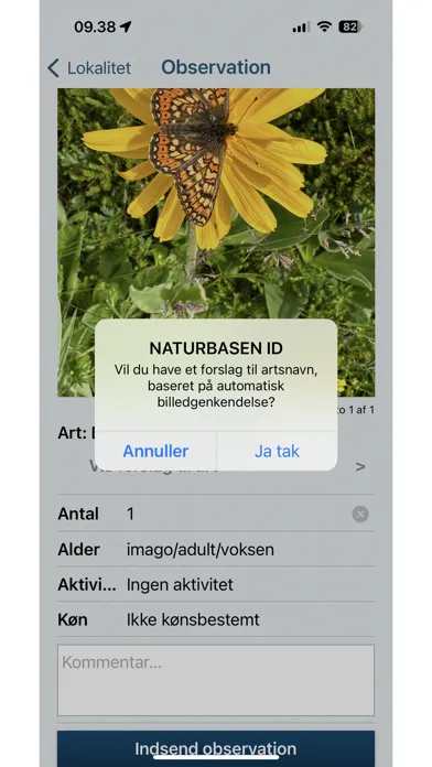 صور Naturbasen