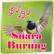 Suara Burung