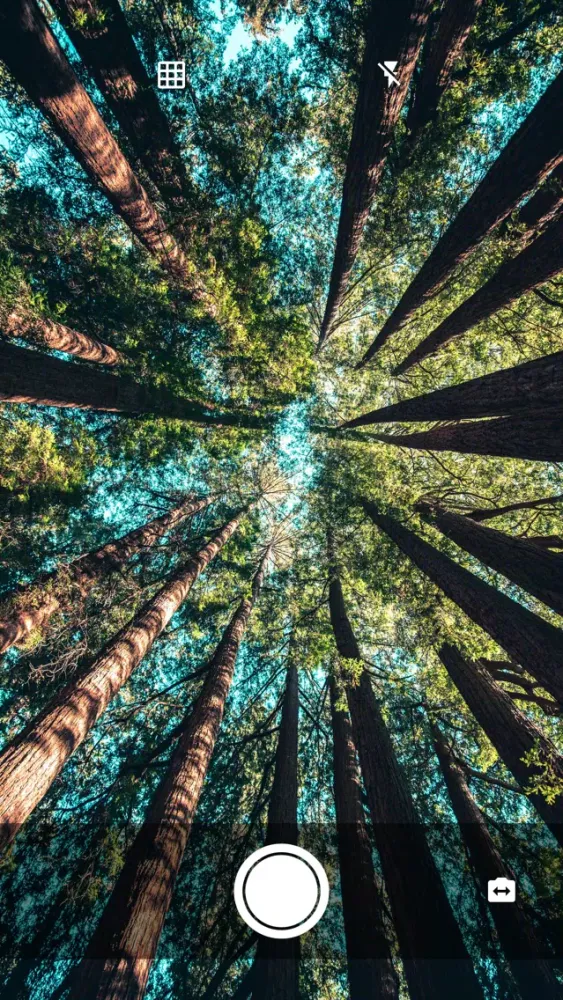Скриншоты ArtCamera - The Simple