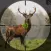 Wild Animal Deer Hunting Game