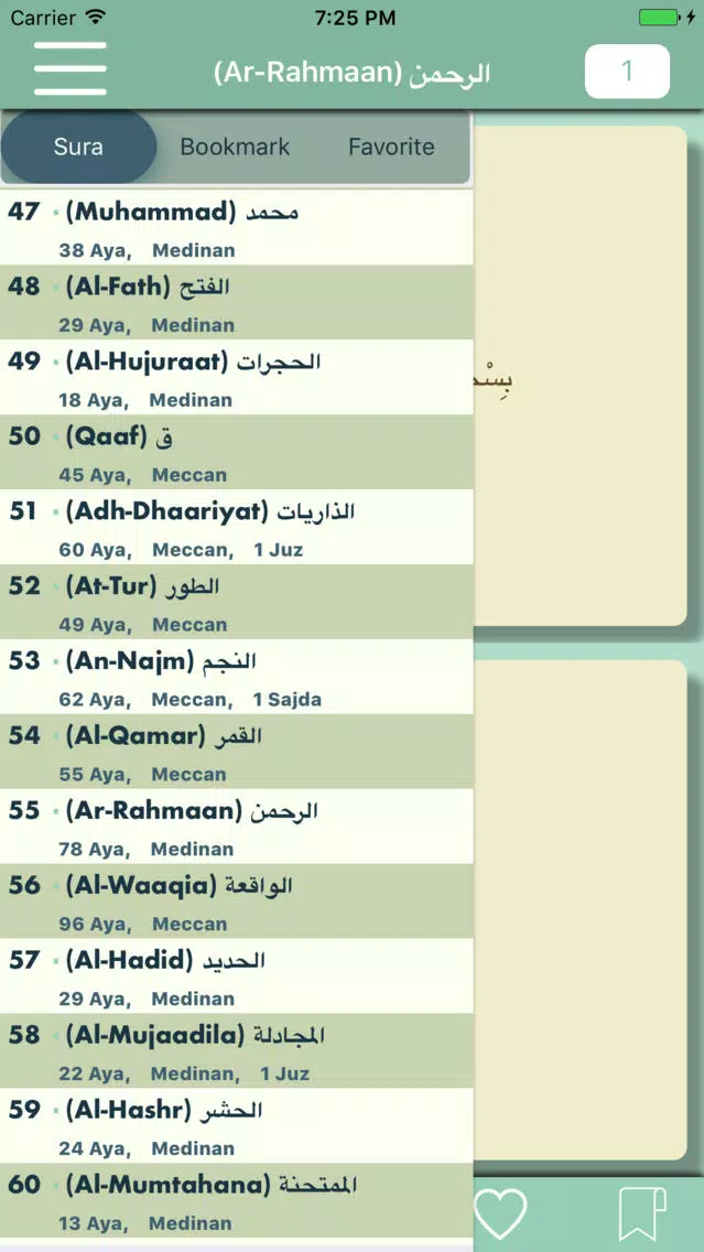 ภาพหน้าจอของ The Qur`an