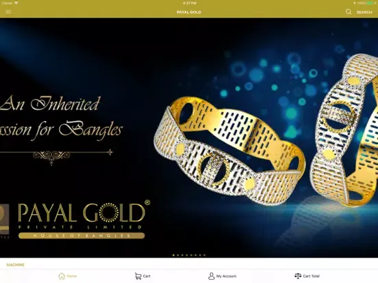 تصاویر Payal Gold iPad 