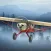 Airplane Fly Bush Pilot