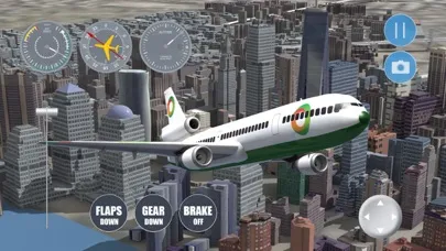 New York Flight Simulator应用截图