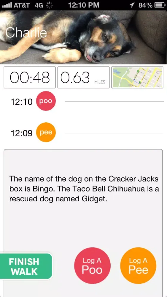Paw Tracks - dog walking pet tracker for groups and friends應用截圖