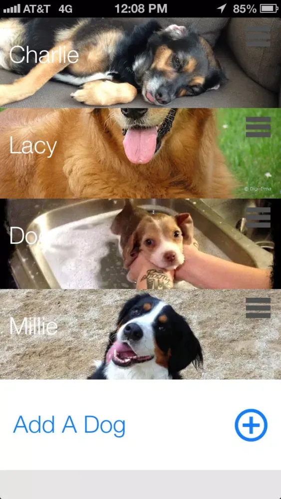 Paw Tracks - dog walking pet tracker for groups and friends應用截圖