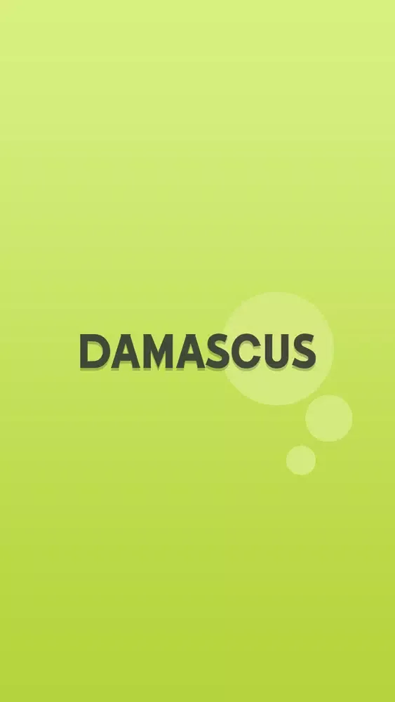 Скриншоты Damascus City Guide