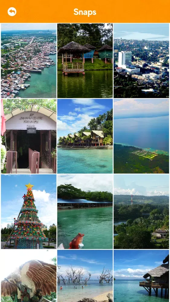 Davao City Tourism Ekran Görüntüleri