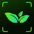 LeafScan Pro LeafScan Pro