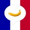 French Picture Dictionary