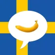 Swedish Picture Dictionary