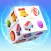 Cube Match Master Puzzle 3D
