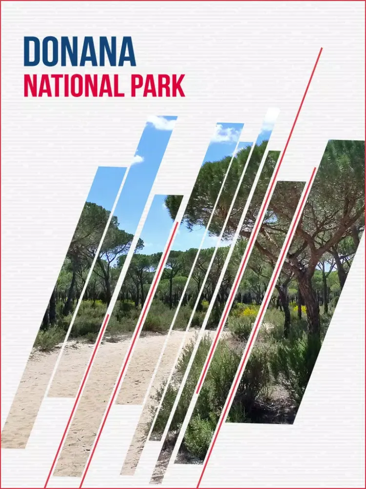 Скриншоты Donana National Park Travel Guide iPad 