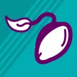 Seed Mate
