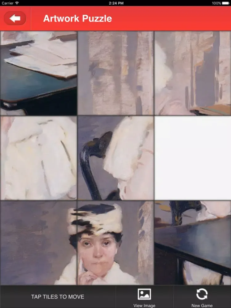 Memphis Brooks Museum of Art Mobile Application iPad  Screenshots