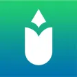 Triz Learning App