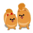 Daughter And Mother Pomeranian Daughter And Mother Pomeranian