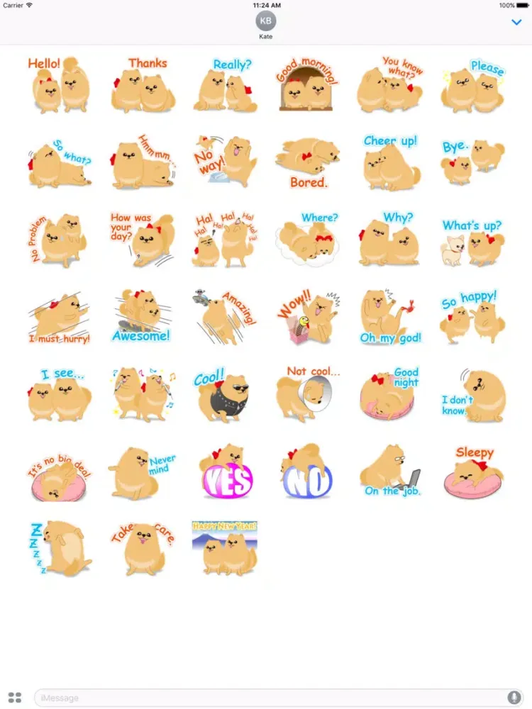 Daughter And Mother Pomeranian iPad  Screenshots
