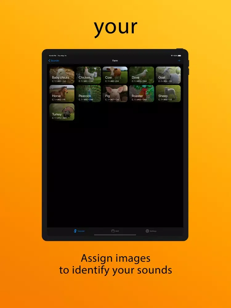 Tangkapan layar MIDI Sounder iPad 