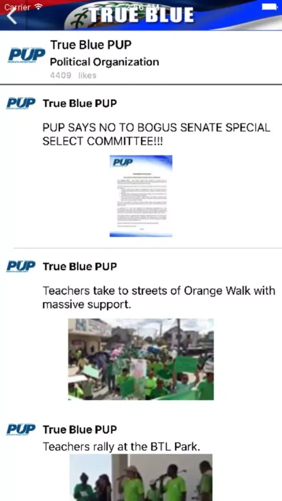 True Blue PUP 스크린샷