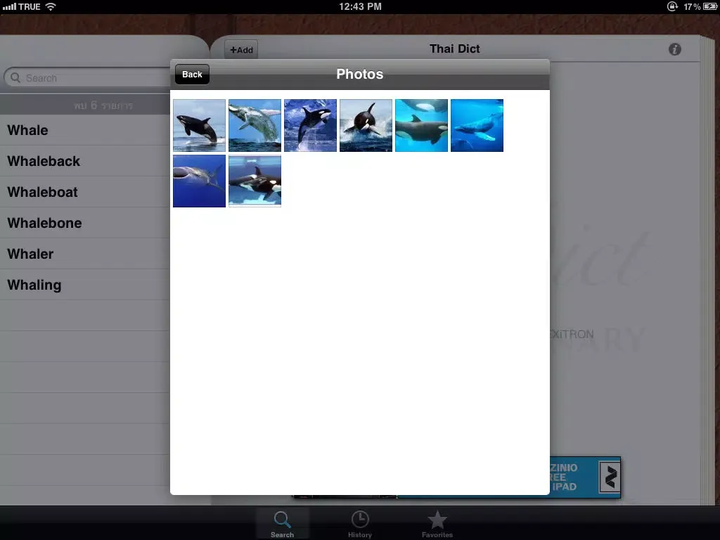 Thai Dict iPad  Ekran Görüntüleri