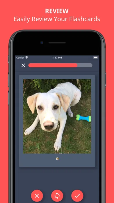 تصاویر Spaced Repetition Mentor