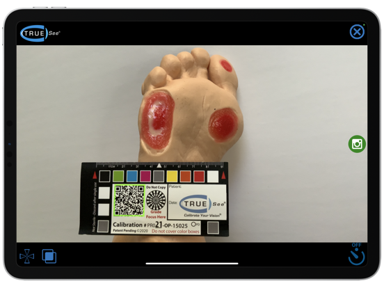 TRUE-See® for Altera Users iPad  Ekran Görüntüleri