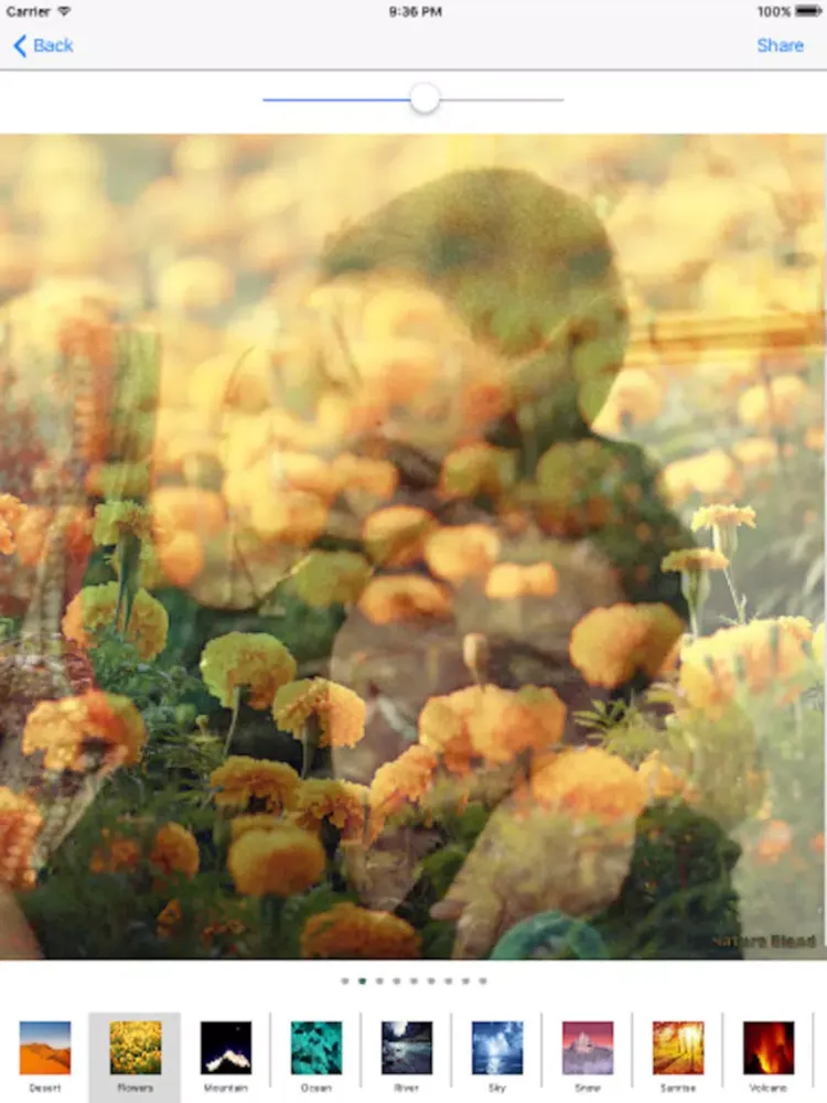 Nature Blend - Mix, overlap and alter your photos with nature images iPad Screenshots