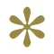 Five Star Insurance Online