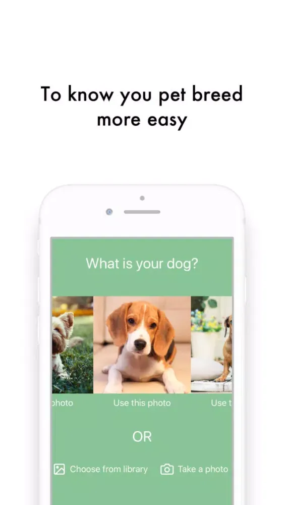 ภาพหน้าจอของ What Dog: What is your dog?