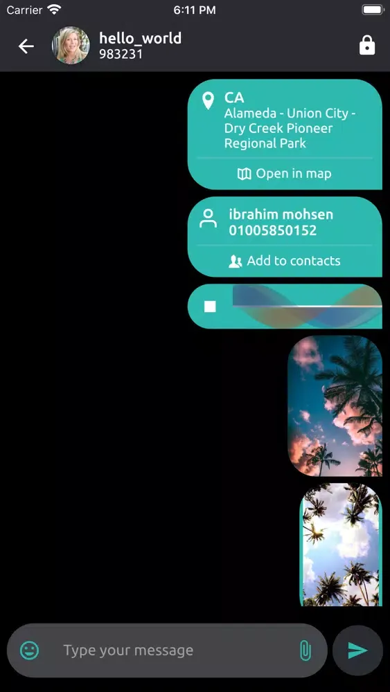 Zrzuty ekranu Chat2Encrypt