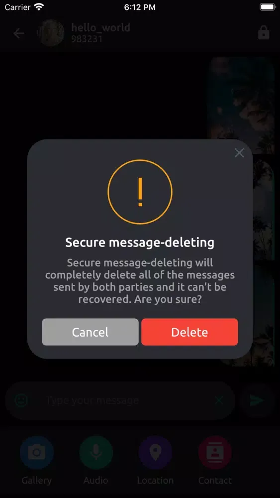 Zrzuty ekranu Chat2Encrypt