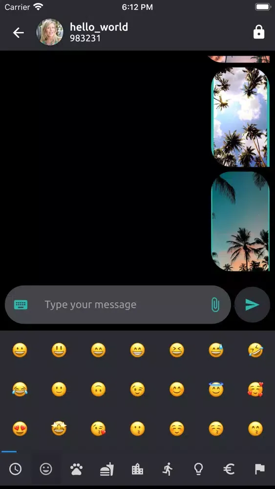 Zrzuty ekranu Chat2Encrypt