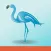 Blue Flamingo Wealth Management