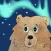 Bim's Northern Light Dream