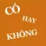 Có Hay Không