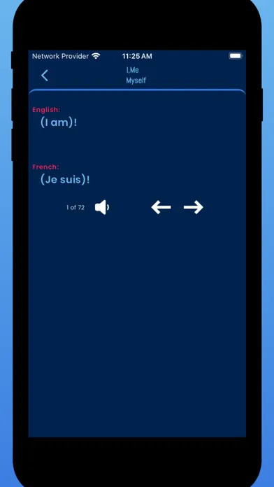 Learn French Language Offline应用截图