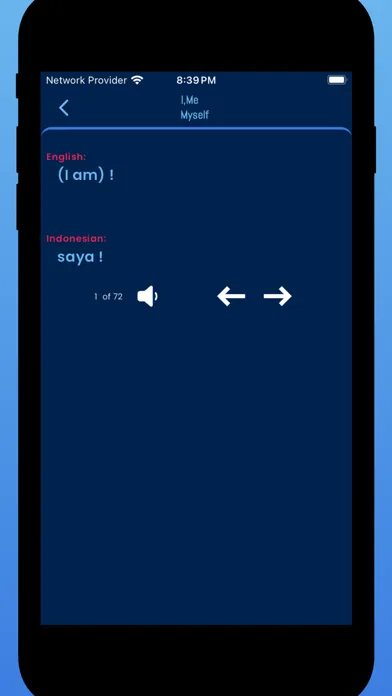 Learn Indonesian For Beginners 스크린샷